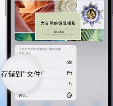 云阳apple维修中心分享iPhone文件应用中存储和找到下载文件