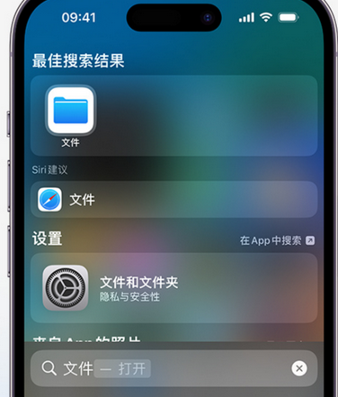 云阳apple维修中心分享iPhone文件应用中存储和找到下载文件 