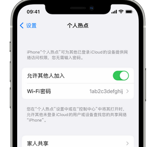 云阳apple服务站点分享iPhone上个人热点丢失了怎么办 