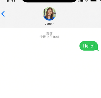 云阳apple维修iPhone上无法正常发送iMessage信息