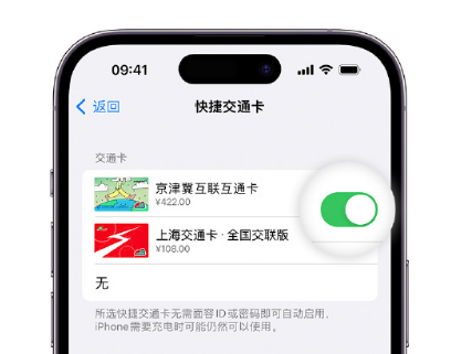 云阳apple维修点分享iPhone上更换Apple Pay快捷交通卡手绘卡面 