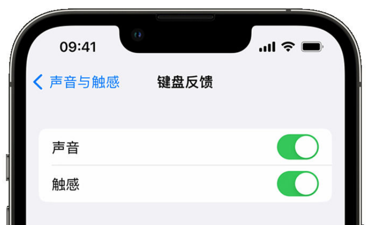 云阳苹果手机维修分享iPhone 14触感键盘使用方法 