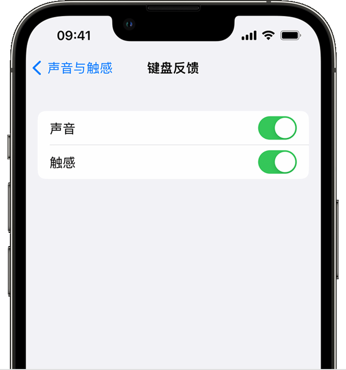 云阳苹果14维修店分享如何在 iPhone 14 机型中使用触感键盘 