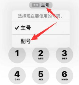 云阳苹果14维修店分享iPhone 14 Pro Max使用副卡打电话的方法 