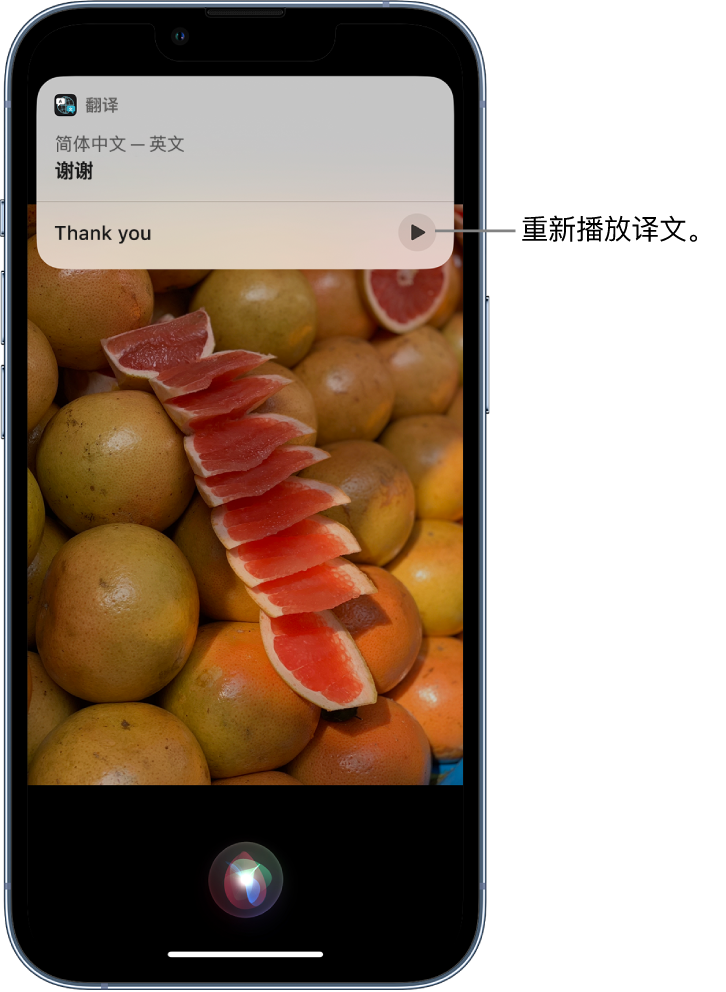 云阳苹果14维修分享 iPhone 14 机型中使用 Siri：了解 Siri 能帮你做什么 