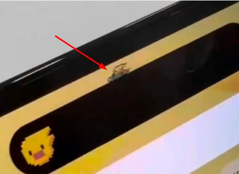 云阳苹果14维修分享iPhone 14 Pro Max灵动岛怎么养宠物 