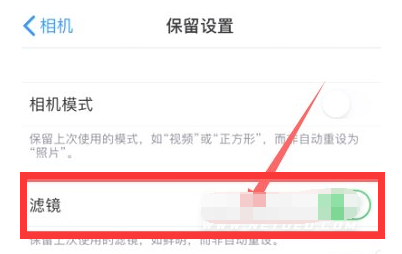 云阳苹果13维修分享iPhone13拍照有绿点是怎么回事 