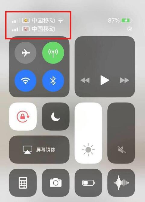 云阳苹果手机维修分享为 iPhone 12 双卡设置标签 
